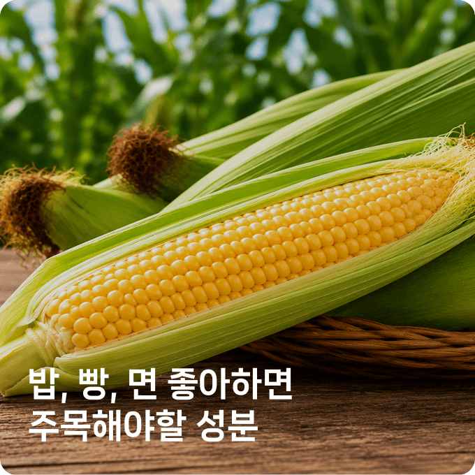 배너 4