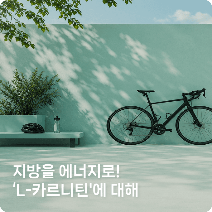 배너 3