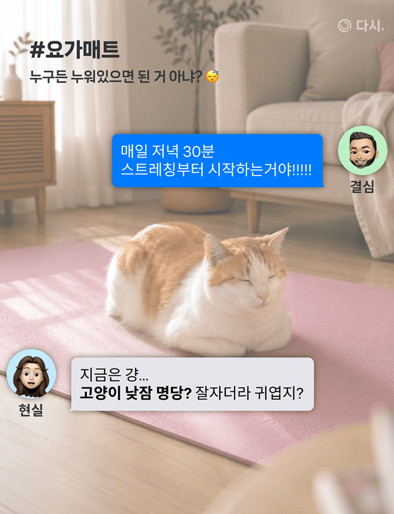 배너 2 상세 3