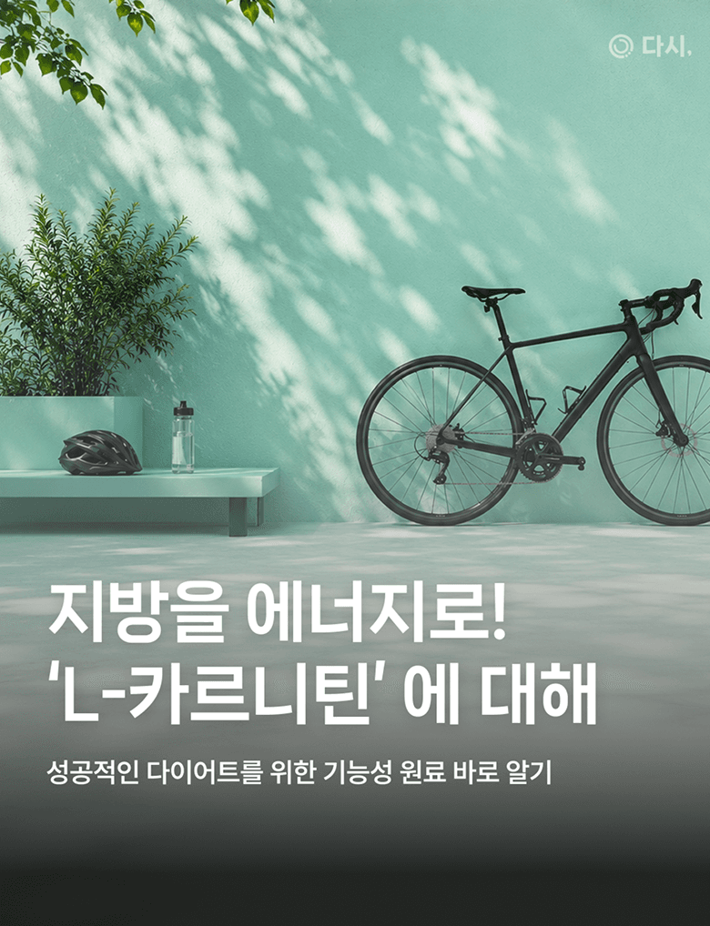 배너 3 상세 50
