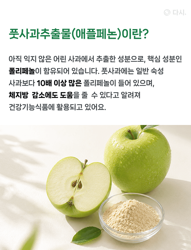 배너 1 상세 2