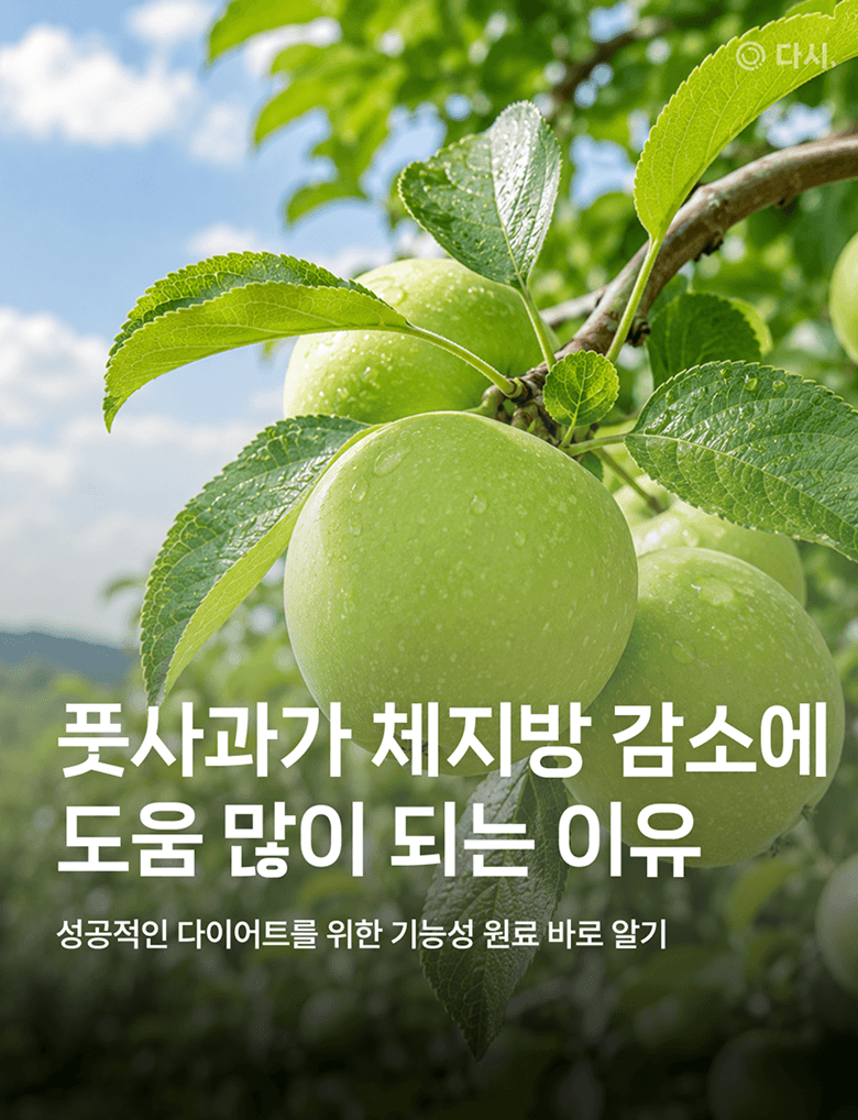 배너 1 상세 58